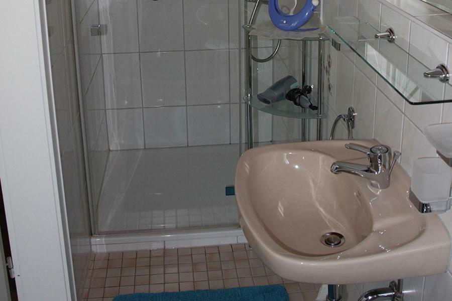 Apartment Baden Baden Haus Am Ibachweg エクステリア 写真