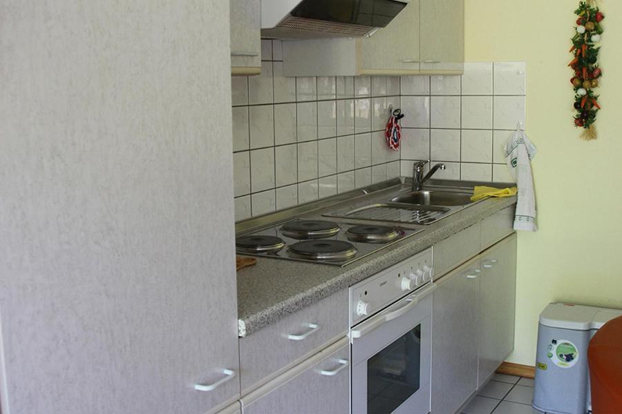 Apartment Baden Baden Haus Am Ibachweg エクステリア 写真