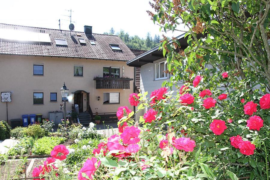 Apartment Baden Baden Haus Am Ibachweg エクステリア 写真