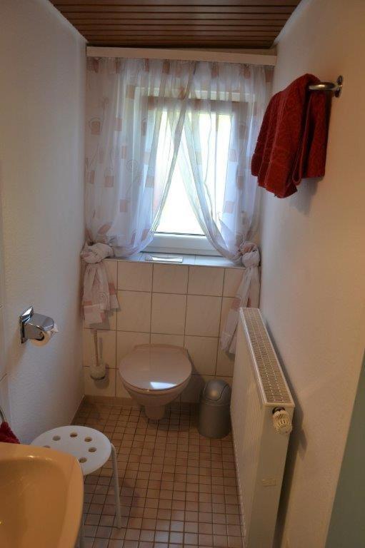 Apartment Baden Baden Haus Am Ibachweg エクステリア 写真